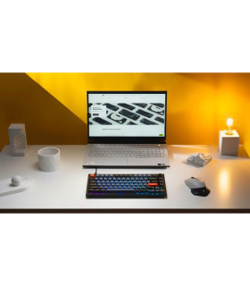 Keychron V1 Frosted Black Brown Switch (US) w/Knob