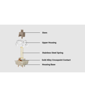 Gateron Baby Raccoon Linear Switch 110pcs/Set