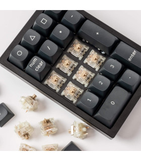 Gateron Baby Raccoon Linear Switch 110pcs/Set