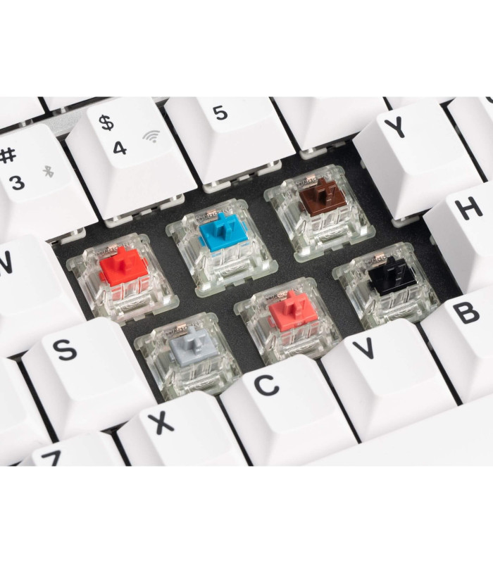 Cherry MX2A Switch Set - RGB Brown / 110 Switches