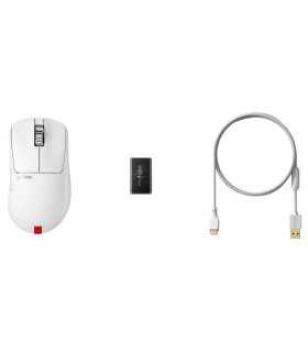 Xlite V3 eS Wireless White - Medium Size 2