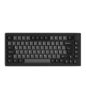 Akko 5075B Plus Black&Silver ISO V3 Cream Blue