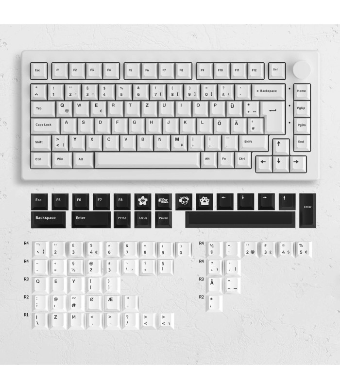 Akko 5075B Plus Black&White ISO V3 Cream Blue