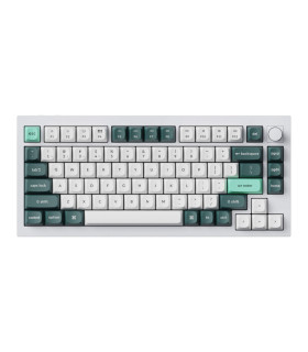 Q1 HE Shell White QMK Magnetic Switch (US)
