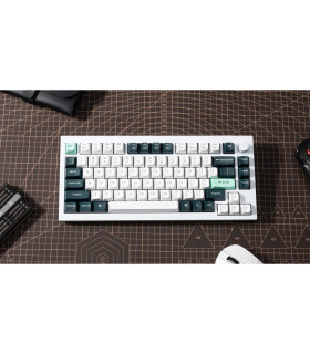 Q1 HE Shell White QMK Magnetic Switch (US)