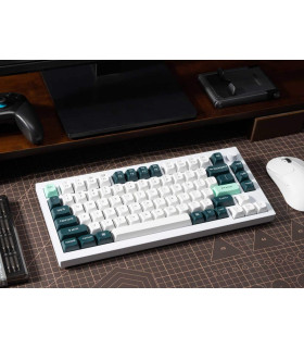 Q1 HE Shell White QMK Magnetic Switch (US)
