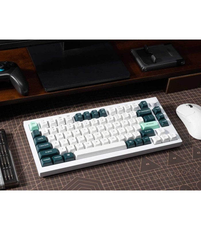 Q1 HE Shell White QMK Magnetic Switch (US)