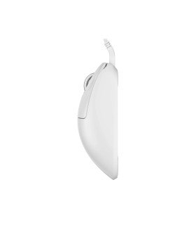 Xlite Wired White - Medium Size 2