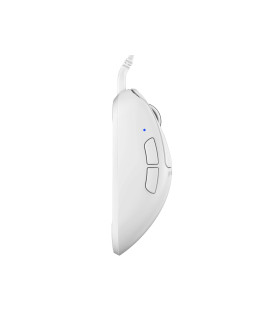 Xlite Wired White - Medium Size 2