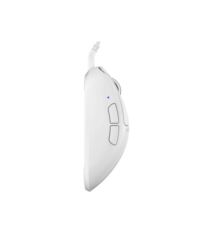Xlite Wired White - Medium Size 2