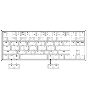 Keychron K8 Hot-Swap Red Switch (US)