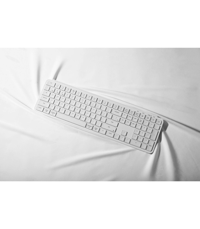 B6 Pro Ultra-Slim Wireless Ivory White (US)