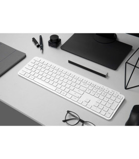 B6 Pro Ultra-Slim Wireless Ivory White (US)
