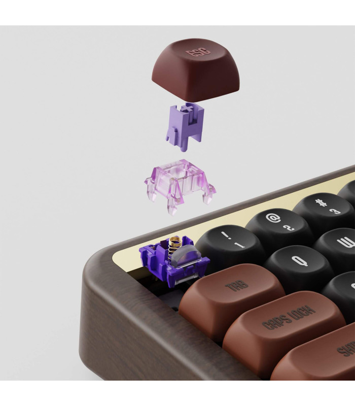 Akko MU01 Autum Switch AKKO Rosewood