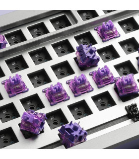 Akko V3 Pro Lavender Purple (Lubed) (45 pcs)