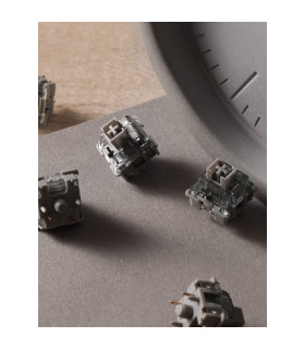 Akko V3 Pro Silver (Lubed) (45 pcs)