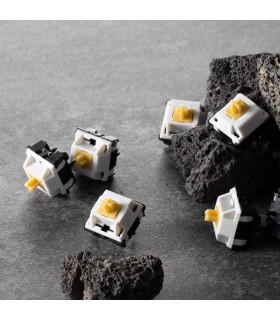 Akko Penguin Silent Switch (Lubed) (45 pcs)