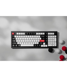 Q5 HE Carbon Black QMK Magnetic Switch (US)