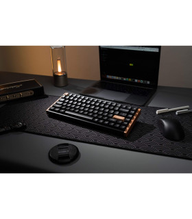 Keychron K2 HE Black Wood Magnetic Switch (US)