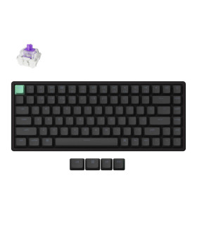 Keychron K2 HE Black Magnetic Switch (US)