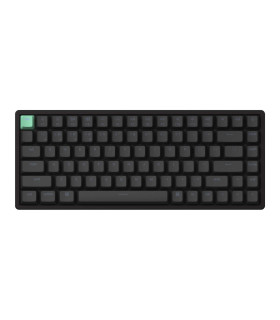 Keychron K2 HE Black Magnetic Switch (US)