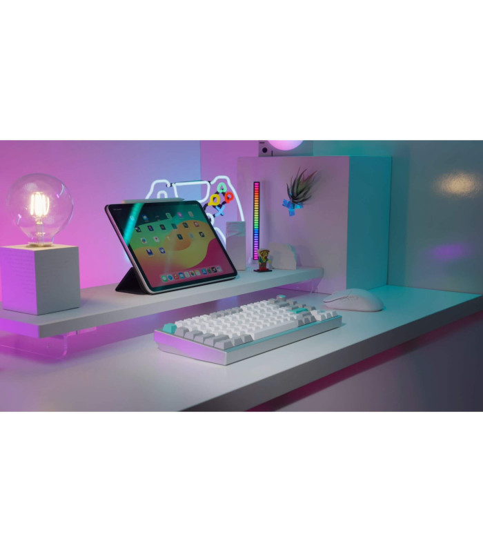 Lemokey P1 Pro Silver QMK Brown Switch (US) w/Knob