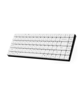 Low Profile (DoSh) PBT LSA Keycap Set White (CH)
