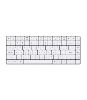 Low Profile (DoSh) PBT LSA Keycap Set White (CH)