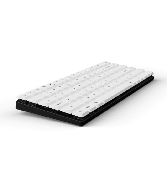 Low Profile (DoSh) PBT LSA Keycap Set White (CH)