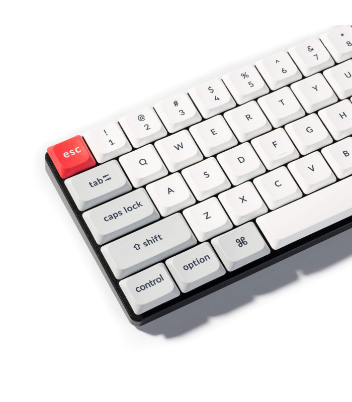 Low Profile (DySu) PBT LSA Keycap Set L.GreyW (CH)