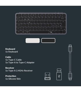 B1 Pro Ultra-Slim Wireless Space Gray (CH)