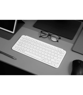 B1 Pro Ultra-Slim Wireless Ivory White (CH)