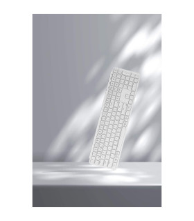 B6 Pro Ultra-Slim Wireless Ivory White (CH)