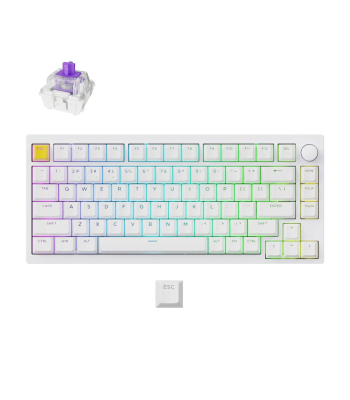 Lemokey P1 HE White Magnetic Switch (US)