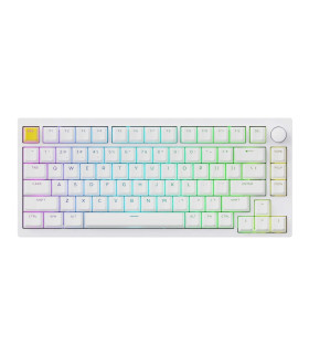 Lemokey P1 HE White Magnetic Switch (US)