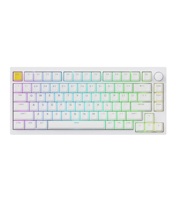 Lemokey P1 HE White Magnetic Switch (US)