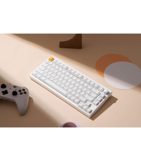 Lemokey P1 HE White Magnetic Switch (US)