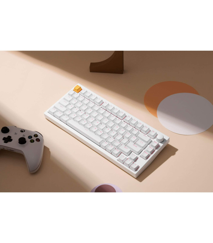 Lemokey P1 HE White Magnetic Switch (US)