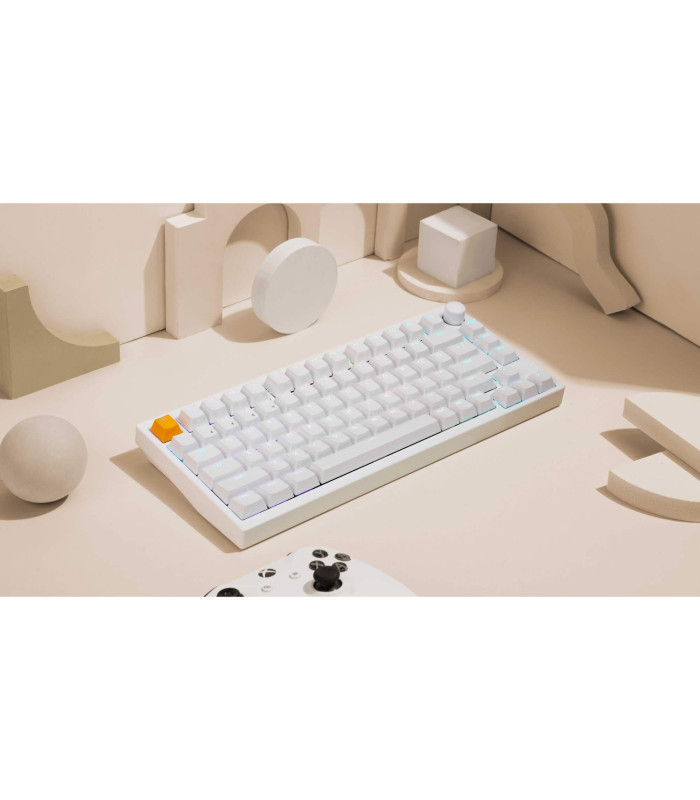 Lemokey P1 HE White Magnetic Switch (US)