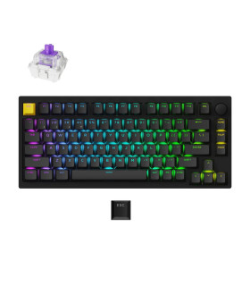 Lemokey P1 HE Black Magnetic Switch (US)