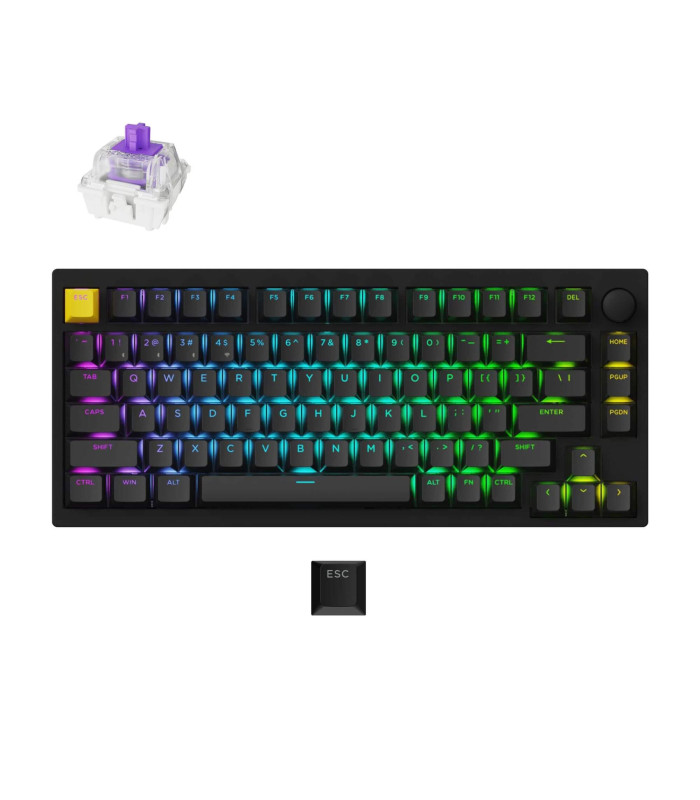 Lemokey P1 HE Black Magnetic Switch (US)