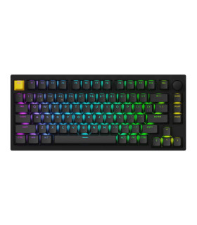 Lemokey P1 HE Black Magnetic Switch (US)