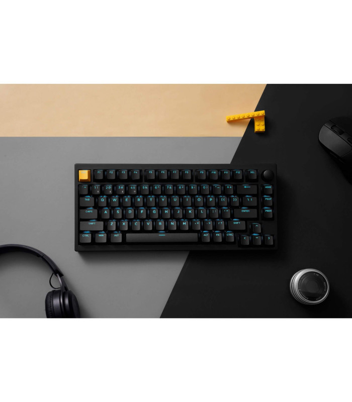 Lemokey P1 HE Black Magnetic Switch (US)