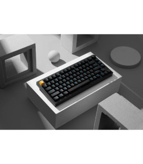 Lemokey P1 HE Black Magnetic Switch (US)