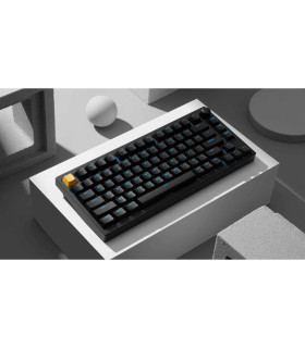 Lemokey P1 HE Black Magnetic Switch (US)