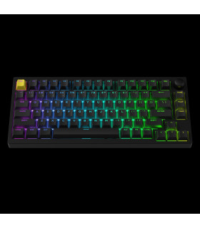 Lemokey P1 HE Black Magnetic Switch (US)