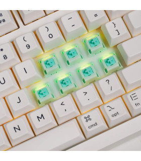 Akko Botany Switch (Lubed) (45 pcs)