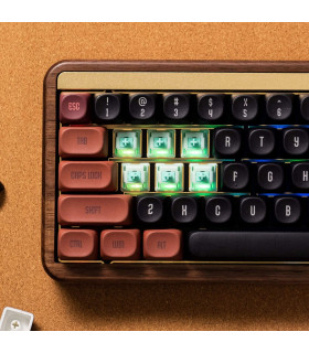 Akko Botany Switch (Lubed) (45 pcs)