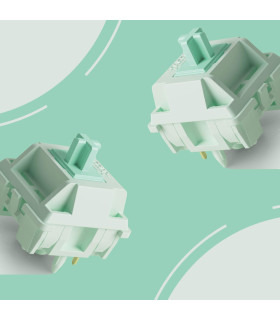 Akko Botany Switch (Lubed) (45 pcs)