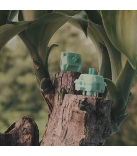 Akko Botany Switch (Lubed) (45 pcs)